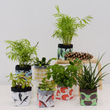 Blackbird Print Textile Plant Pot