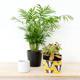 Badger Print Textile Plant Pot