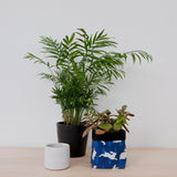 Rabbit Print Textile Plant Pot
