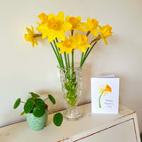'Happy Mother's Day' Daffodil Card