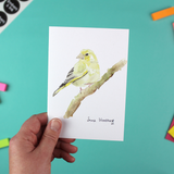 Greenfinch Greetings Card