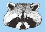 Raccoon Print