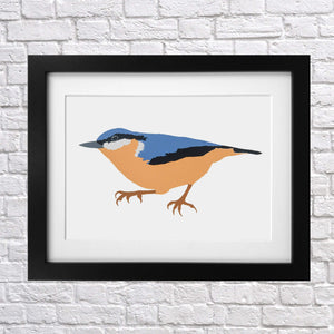 Nuthatch Screen Print