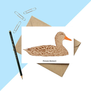 Female Mallard Greetings Card