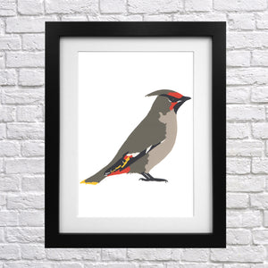 Waxwing Screen Print