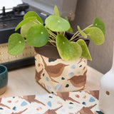 Wren Print Textile Plant Pot